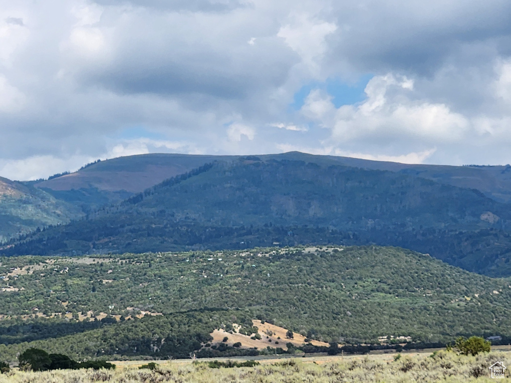 19010 N 11300 E Mt Pleasant, UT 84647