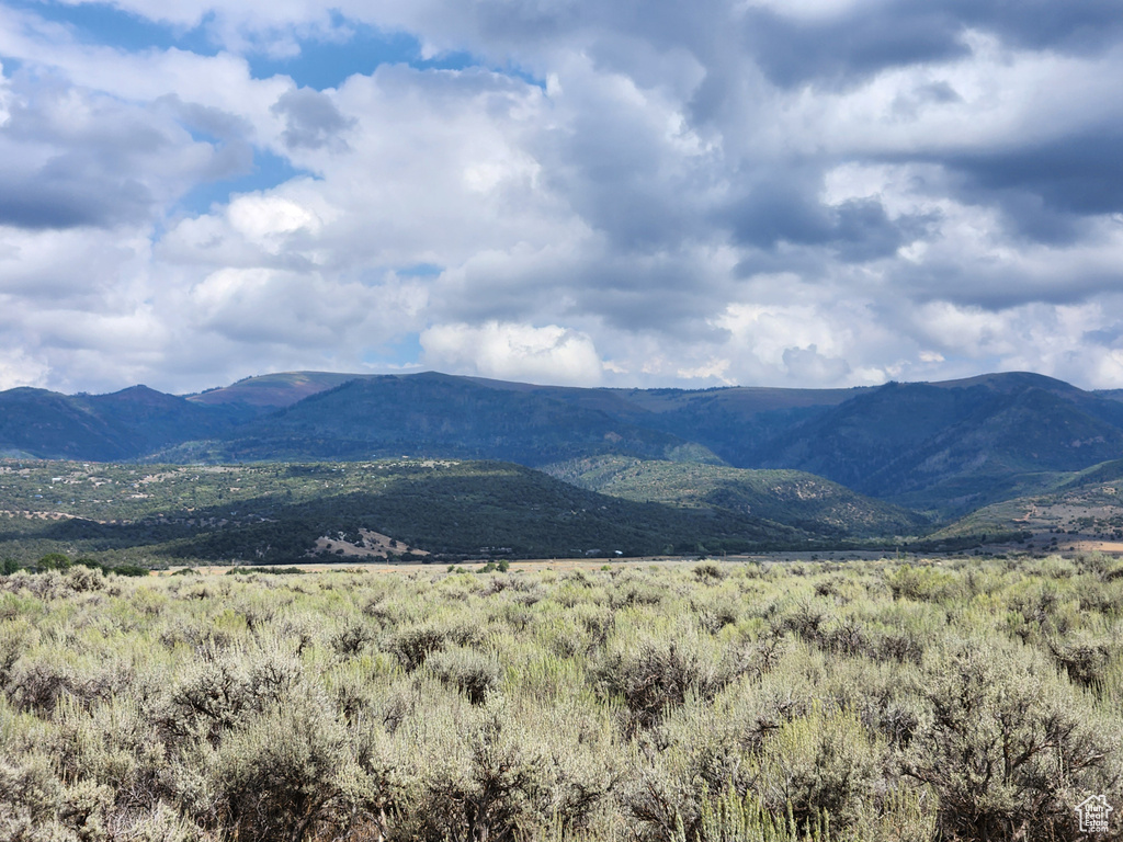 19010 N 11300 E Mt Pleasant, UT 84647