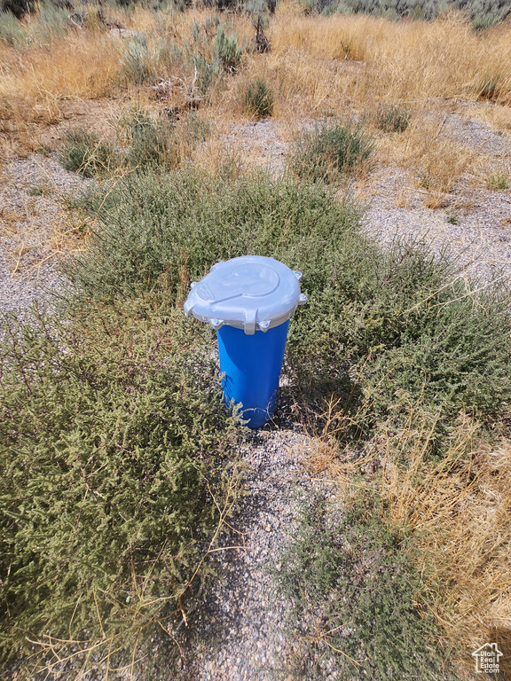 19010 N 11300 E Mt Pleasant, UT 84647