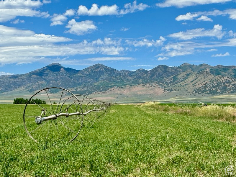  Malad City, ID 83252