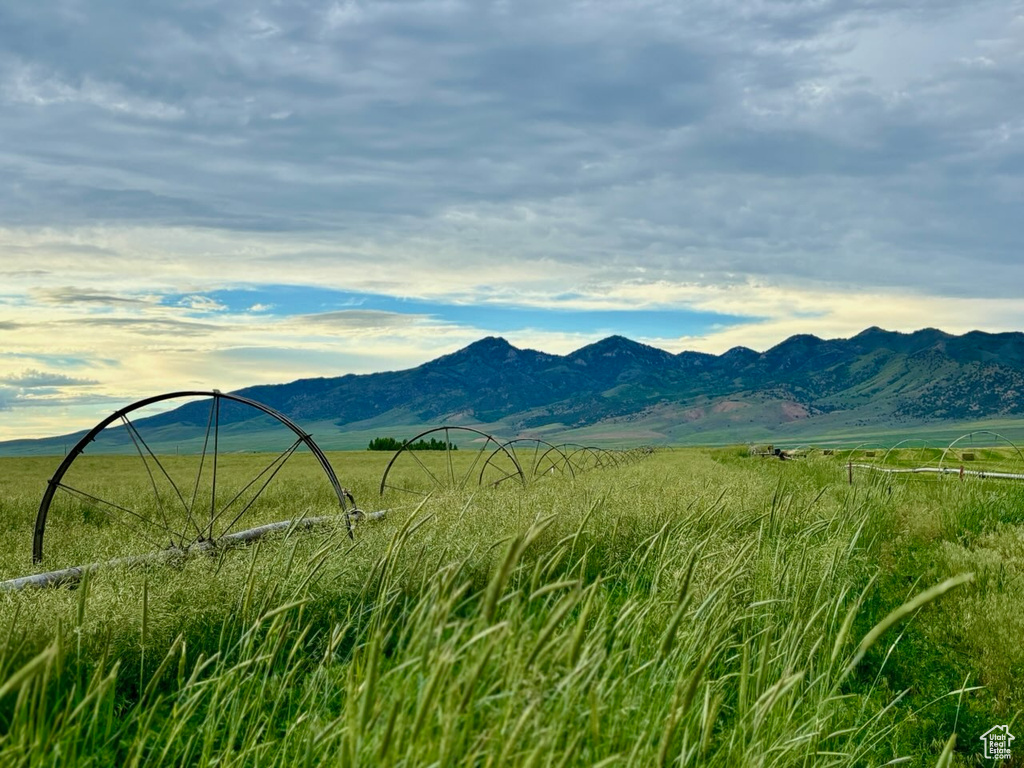  Malad City, ID 83252
