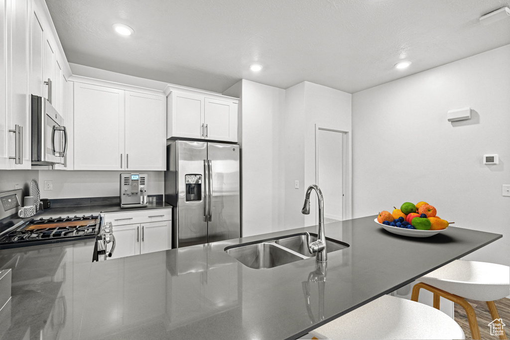 1013 W SAPPHIRE PEAK DR Bluffdale, UT 84065