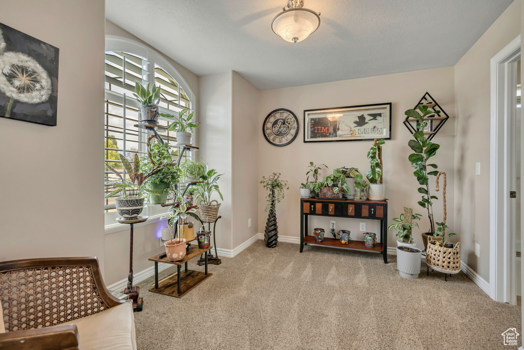 2595 W 650 N Layton, UT 84041