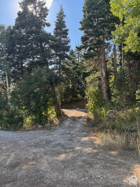 23215 N DEER VALLEY DR Fairview, UT 84629