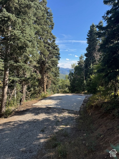 23215 N DEER VALLEY DR Fairview, UT 84629