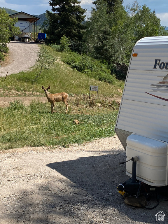 23215 N DEER VALLEY DR Fairview, UT 84629