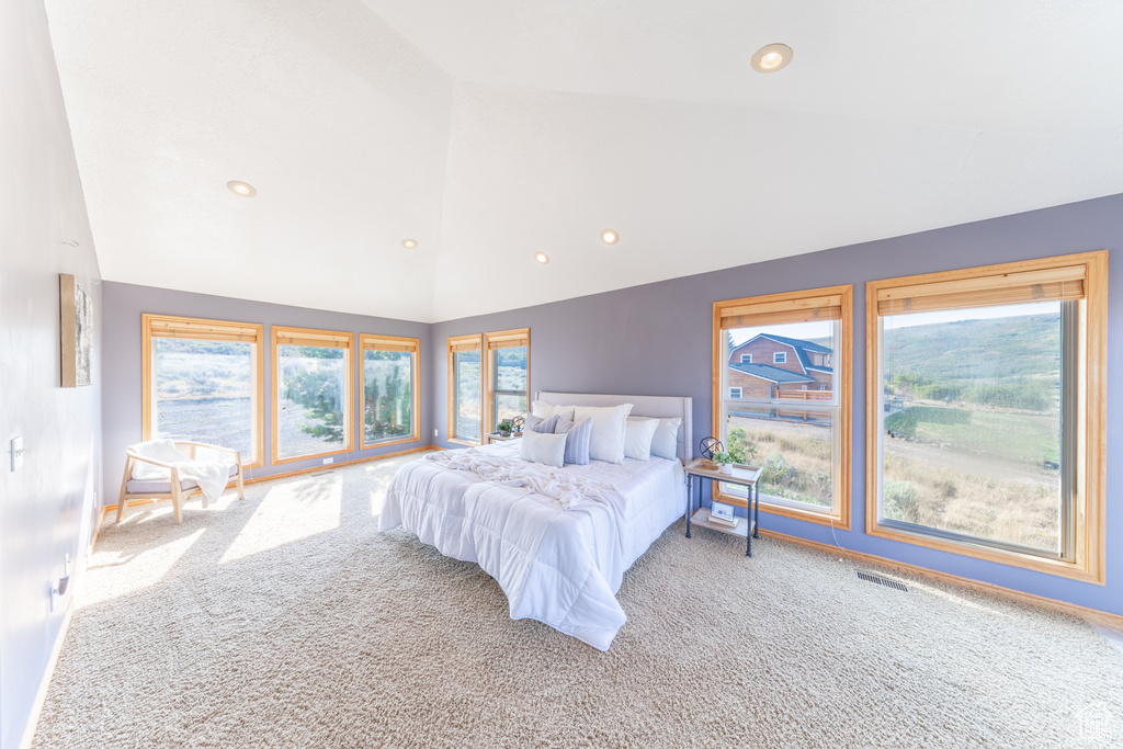 Photo 18 for MLS #2108216 at 16182 S Stepside Rd