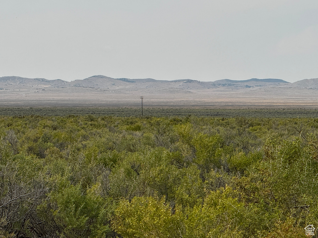 1087  OLD LINCOLN HWY Skull Valley, UT 84029