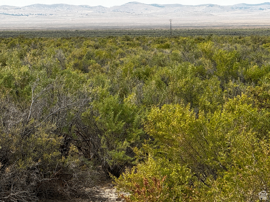 1087  OLD LINCOLN HWY Skull Valley, UT 84029