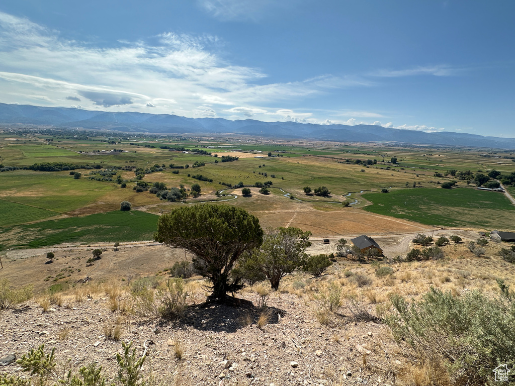 19415 N 7150 E Mt Pleasant, UT 84647