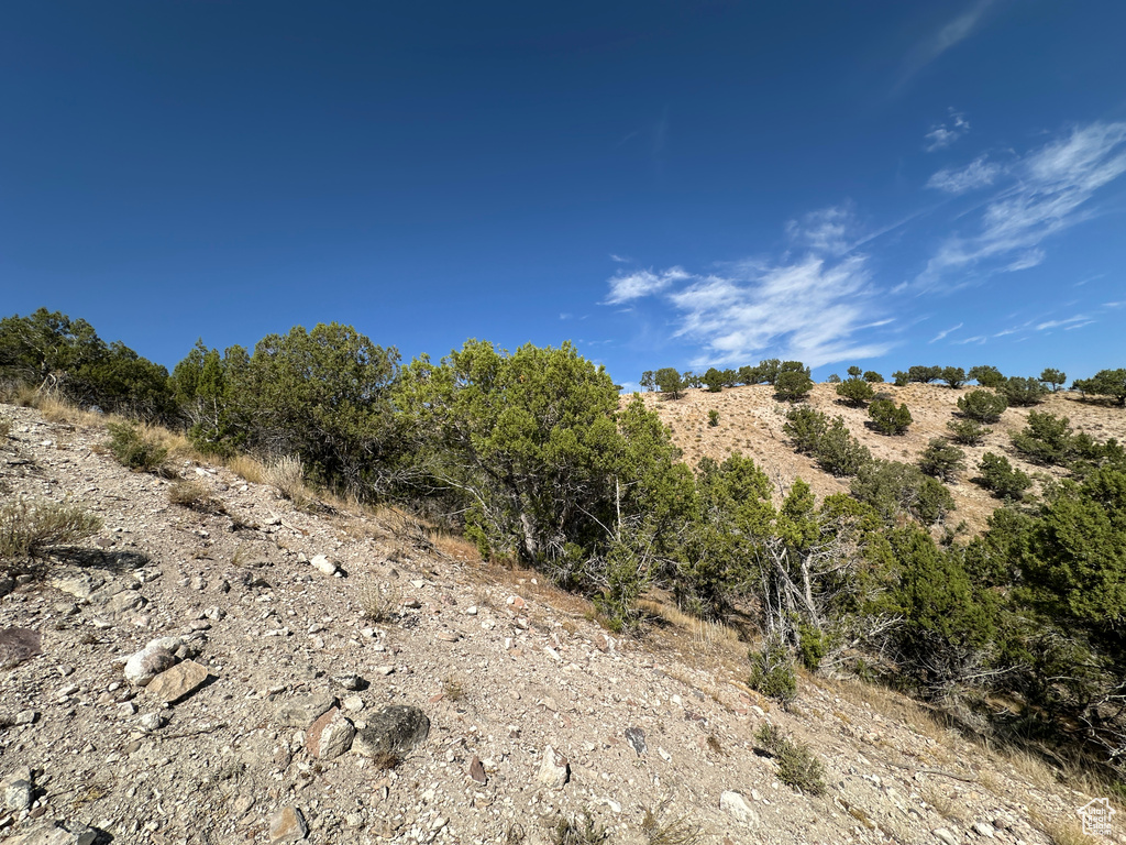 19415 N 7150 E Mt Pleasant, UT 84647