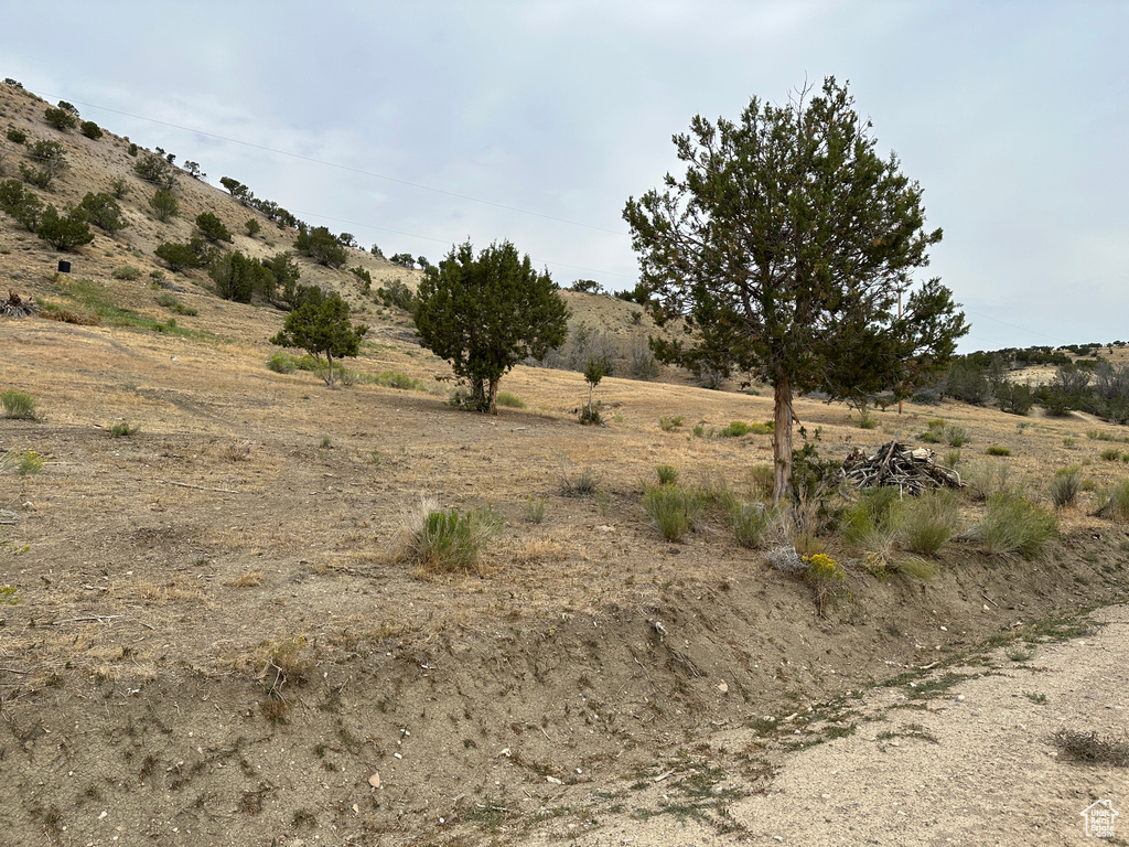 19415 N 7150 E Mt Pleasant, UT 84647