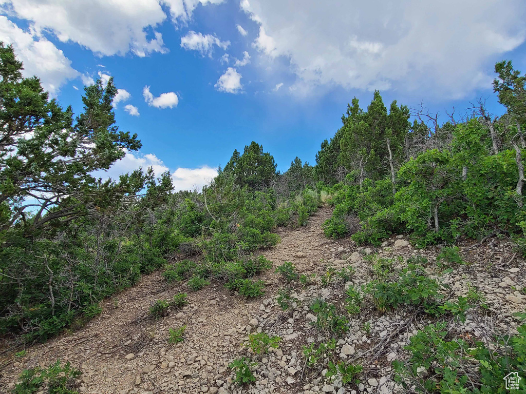 View of undeveloped land