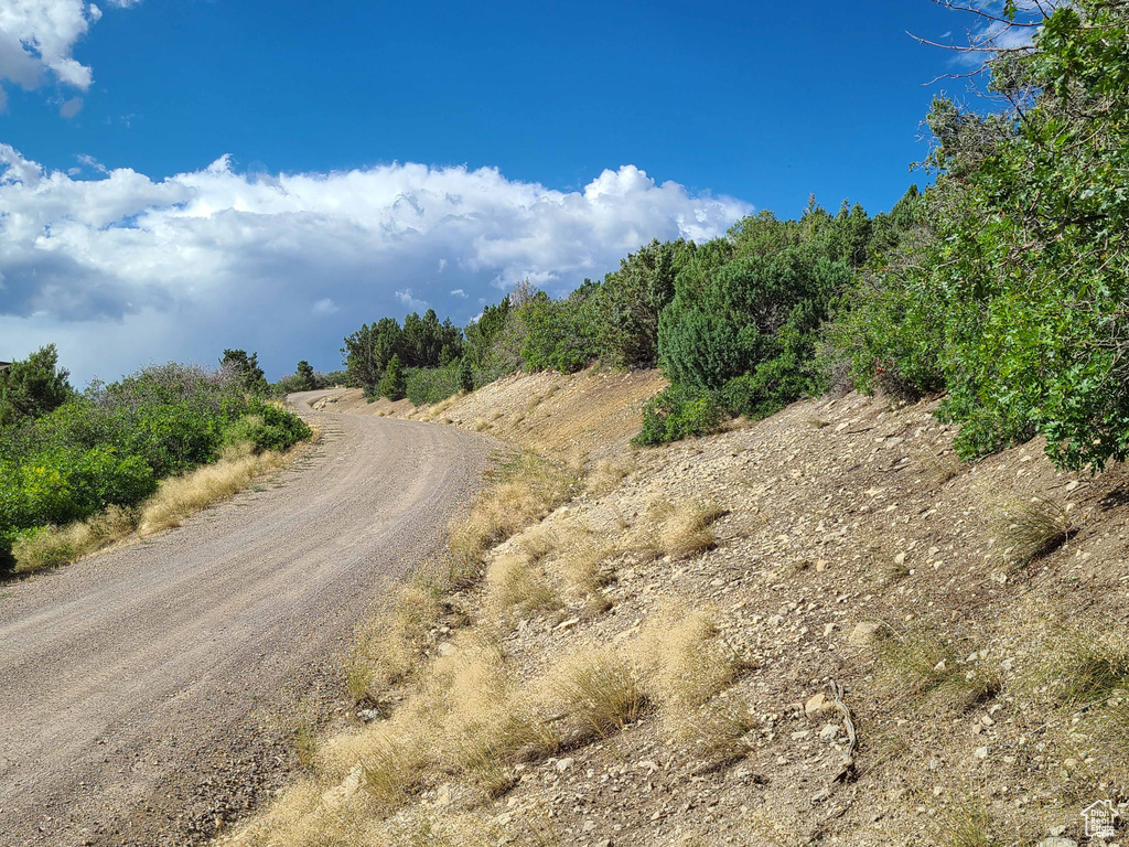 View of dirt / gravel road