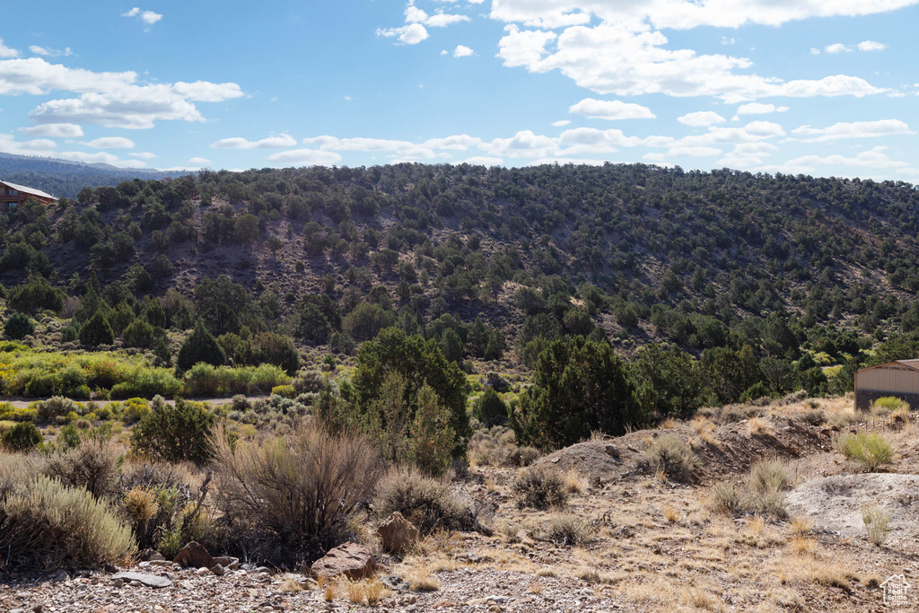 View of mountain background