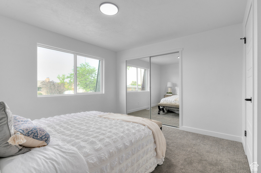 Photo 11 for MLS #2108306 at 920 E Violet Dr