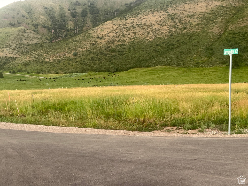 13 E LAVENDER CT Afton, WY 83110