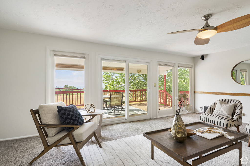 Photo 9 for MLS #2108313 at 7622 S Cambria Cir