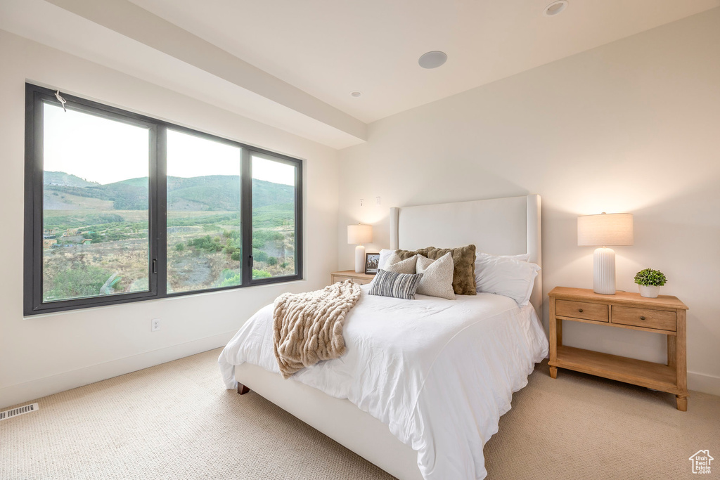 1717 W CENTAUR CT Heber City, UT 84032