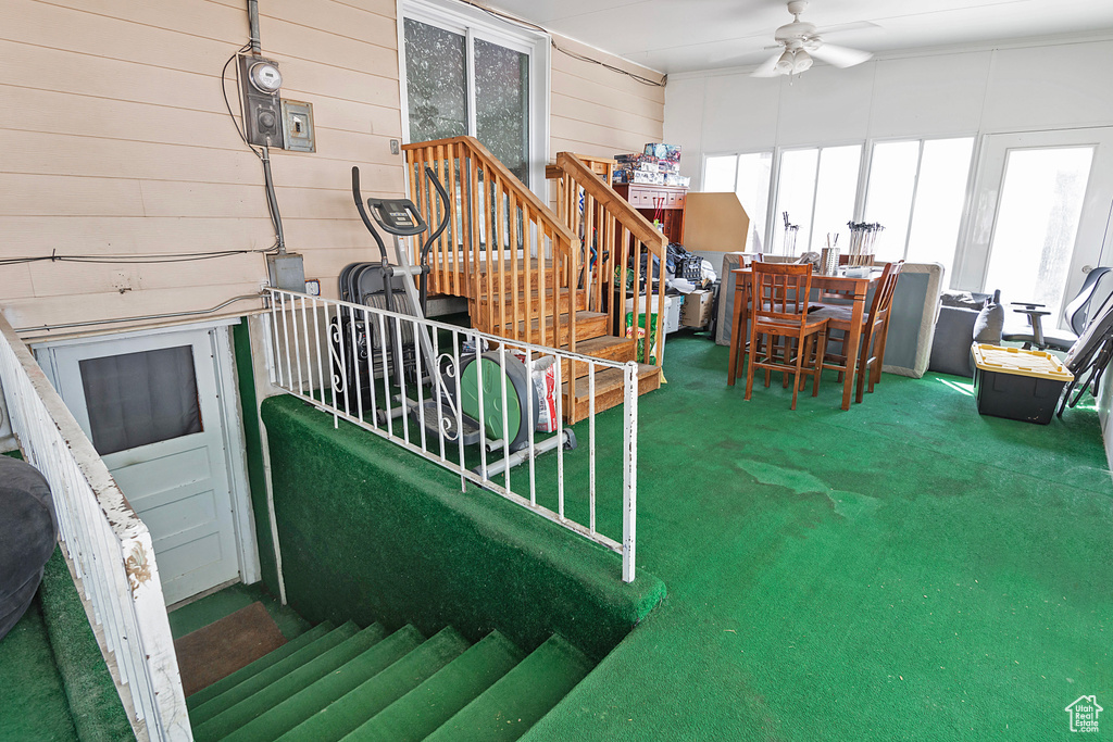 Photo 19 for MLS #2108354 at 2862 E Pamela Dr