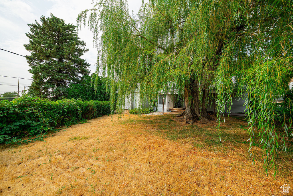 Photo 22 for MLS #2108375 at 1243 Hudson St