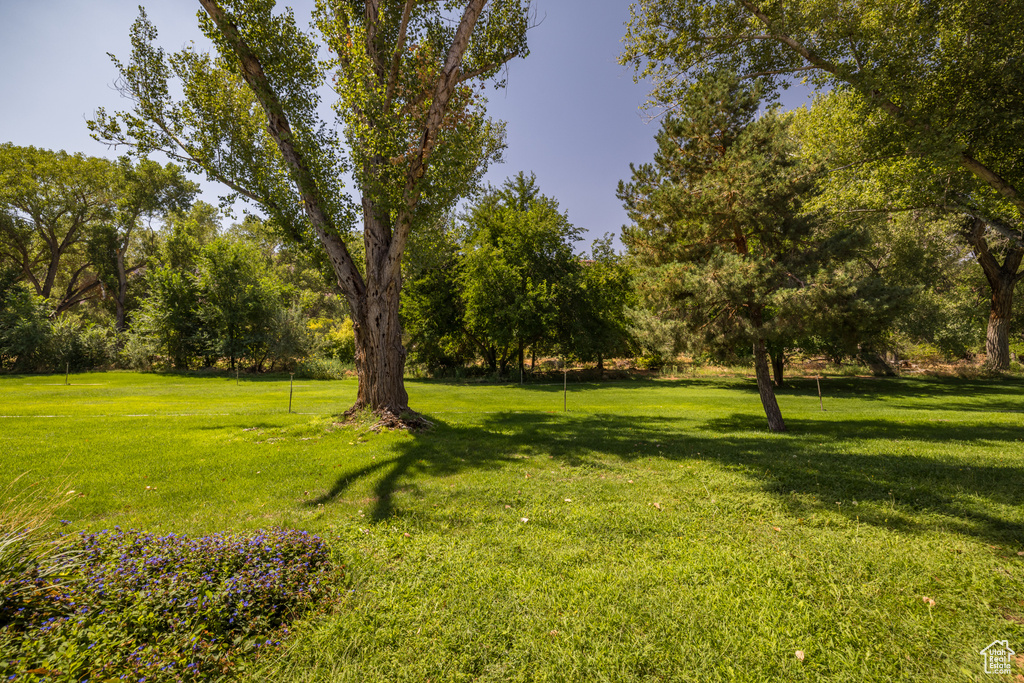 Photo 30 for MLS #2108403 at 329 E Pueblo Ct