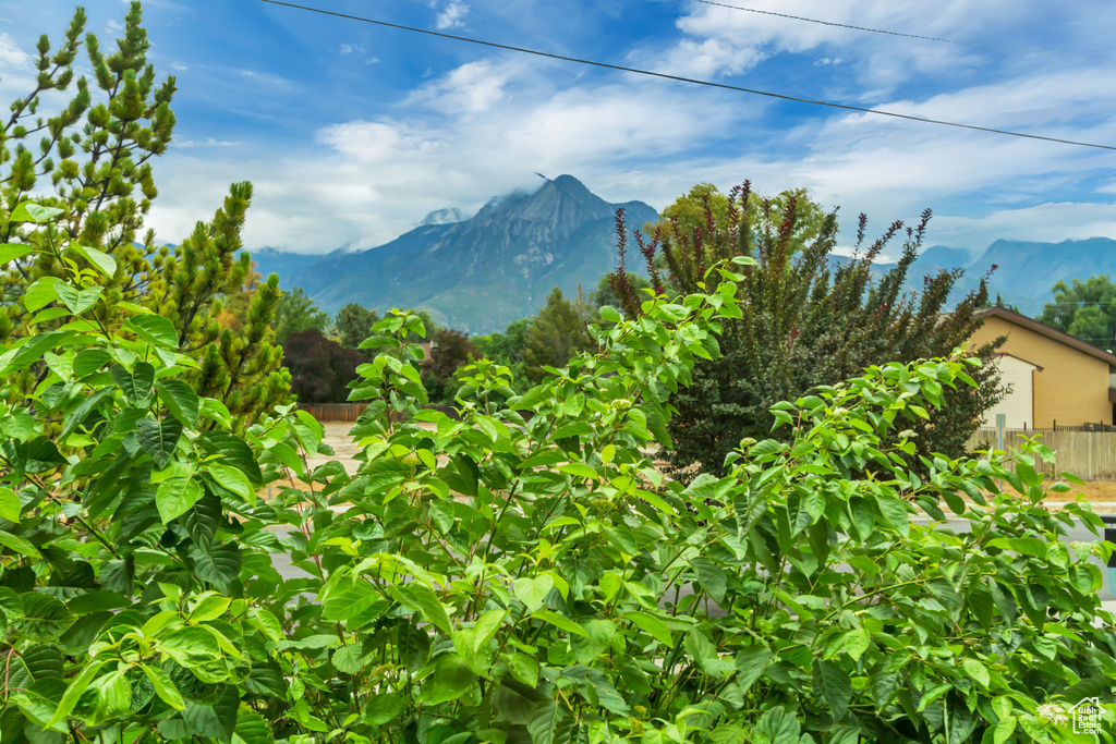 Photo 71 for MLS #2108419 at 4472 S 1500 East