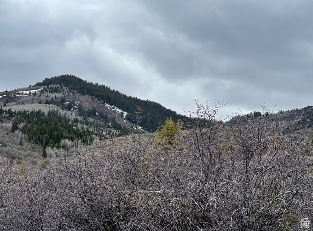 57  DOGWOOD CIR Fish Haven, ID 83287