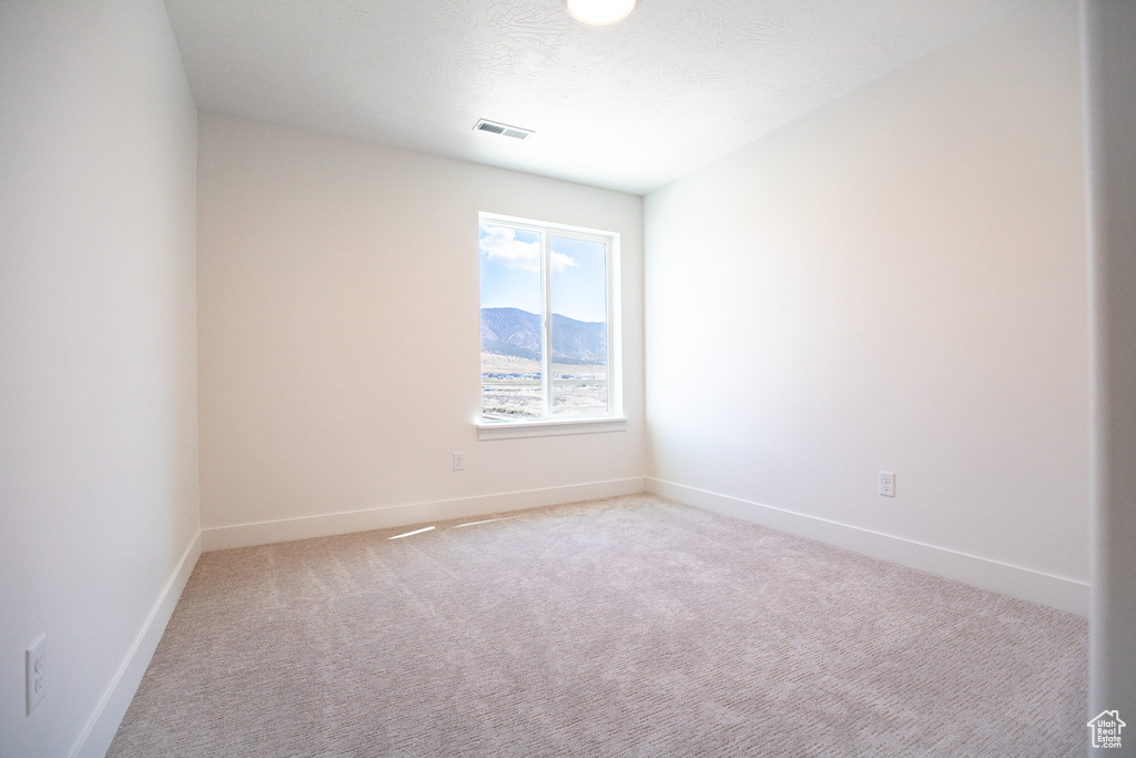 Photo 12 for MLS #2108517 at 3245 N Gray Wolf Lane Lot #4001