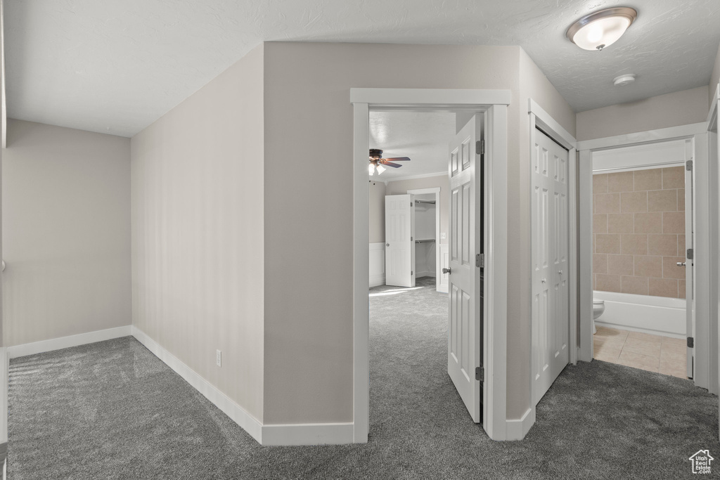 1175 W 1420 N Orem, UT 84057