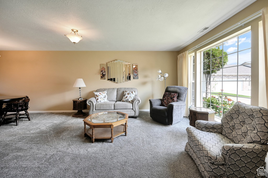 315 N MOUNTAIN VIEW LN Providence, UT 84332