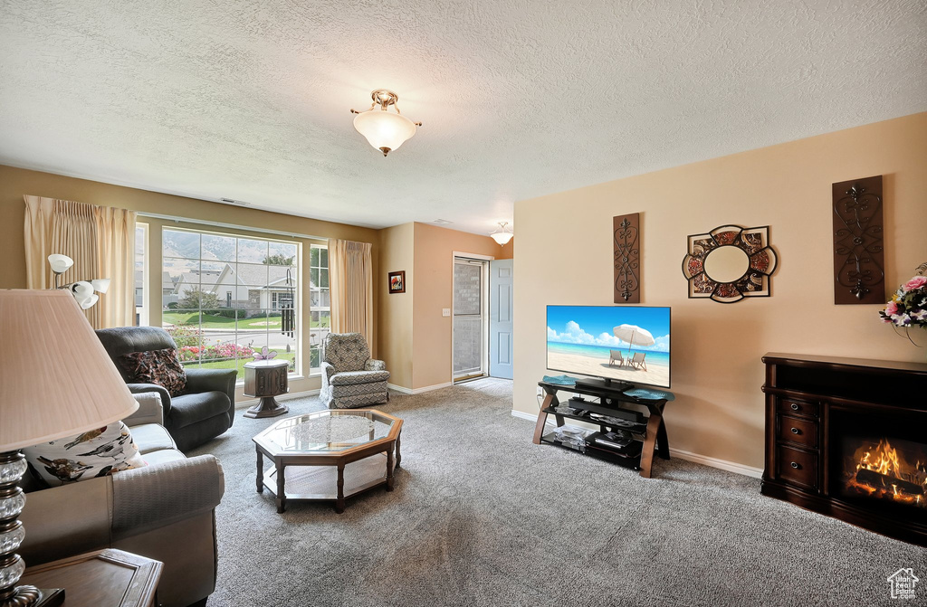 315 N MOUNTAIN VIEW LN Providence, UT 84332