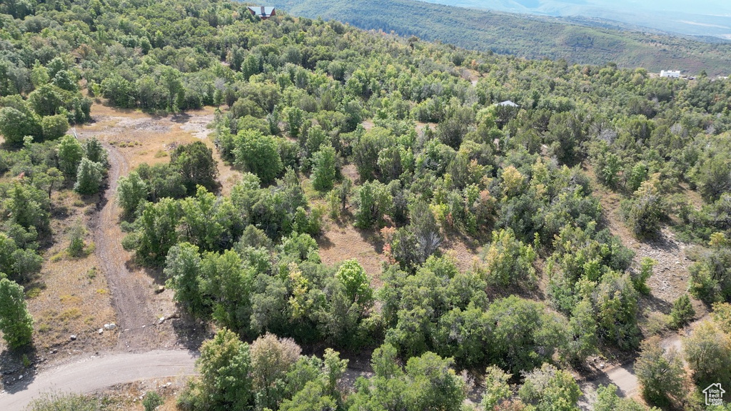 22045 N 14375 E Fairview, UT 84629