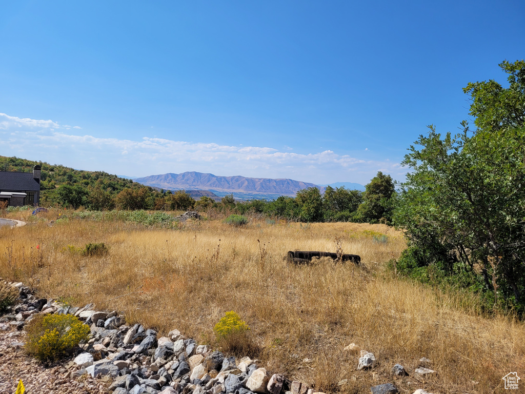 912 W SUMMIT DR Woodland Hills, UT 84653