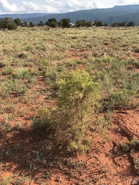 400 S RIVER VIEW RD (300 E) Torrey, UT 84775