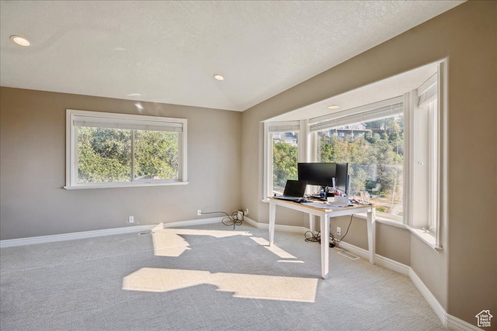 Photo 16 for MLS #2108701 at 1483 E Maple Hills Dr