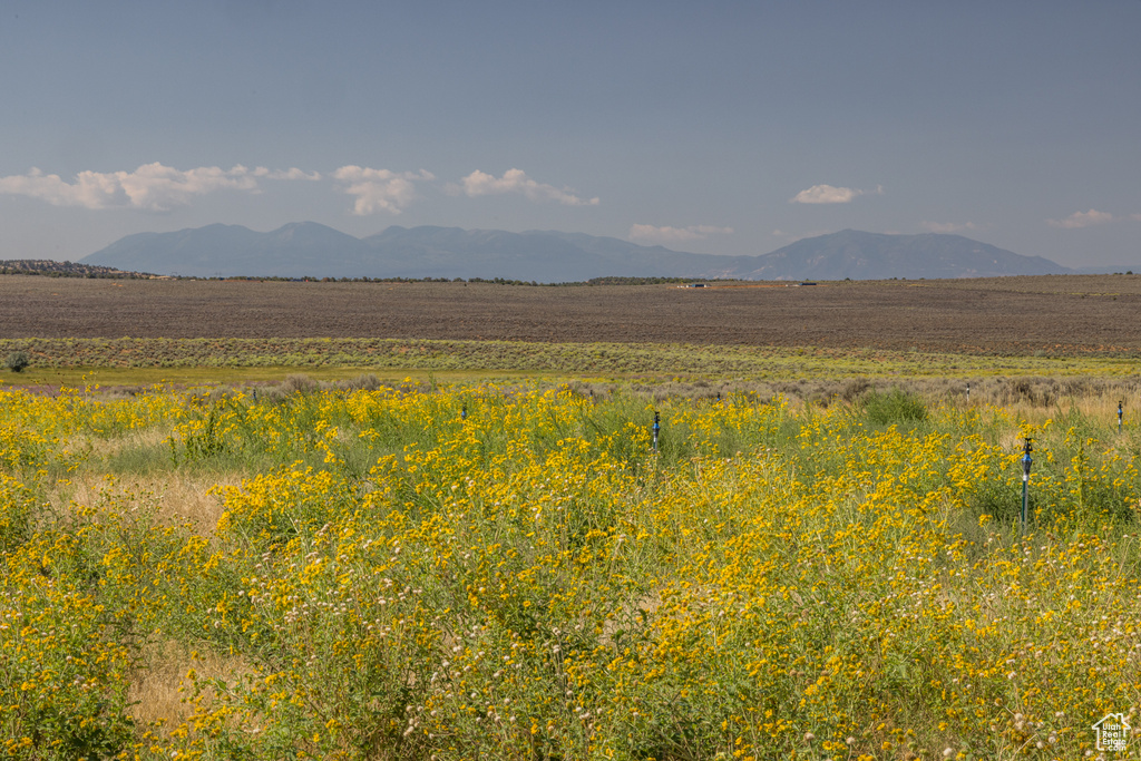 112 S COTTONTAIL AVE La Sal, UT 84530