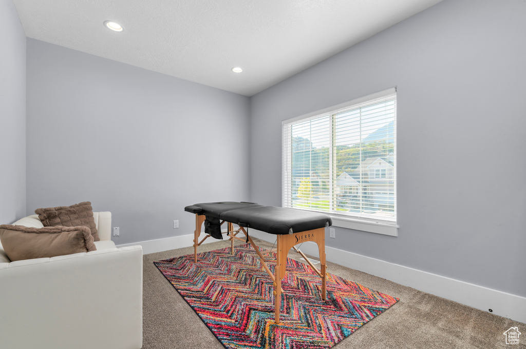 2633 OAKRIDGE DR Spanish Fork, UT 84660