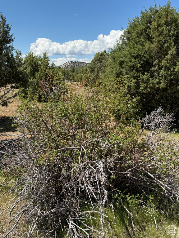  Spring City, UT 84662