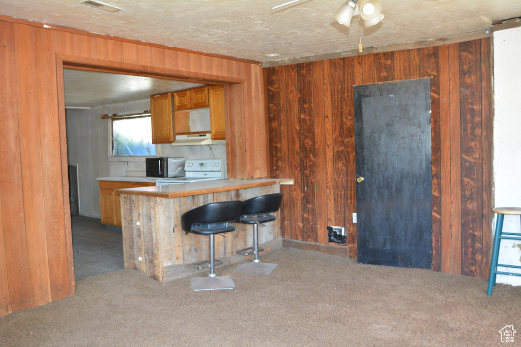 Photo 8 for MLS #2108769 at 30031 Old Lincoln Hwy