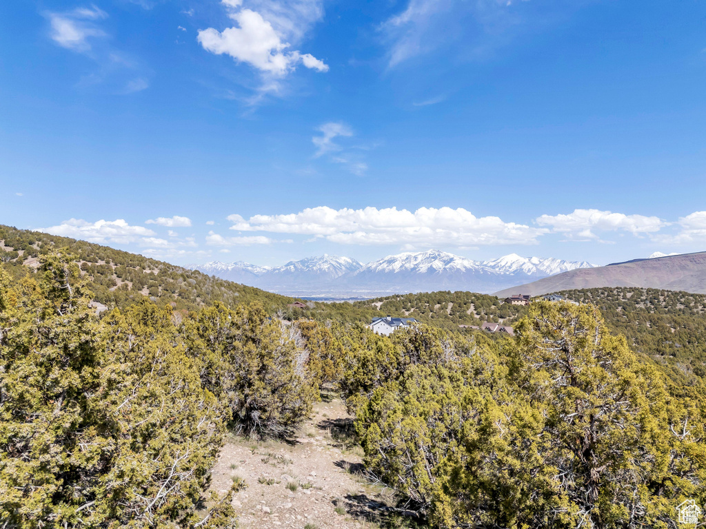 14544 S SHAGGY MTN Herriman, UT 84096