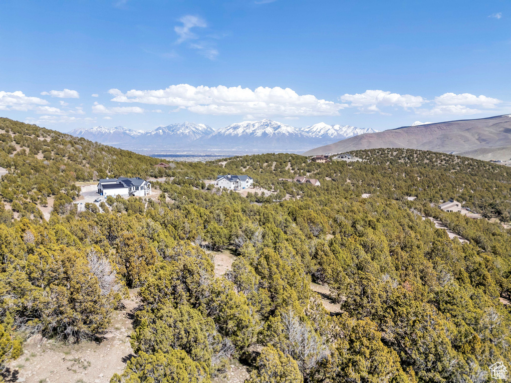 14544 S SHAGGY MTN Herriman, UT 84096