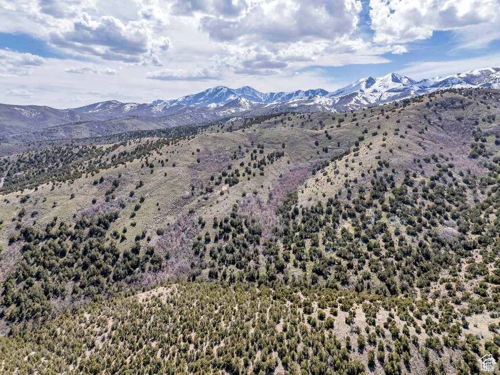 14544 S SHAGGY MTN Herriman, UT 84096