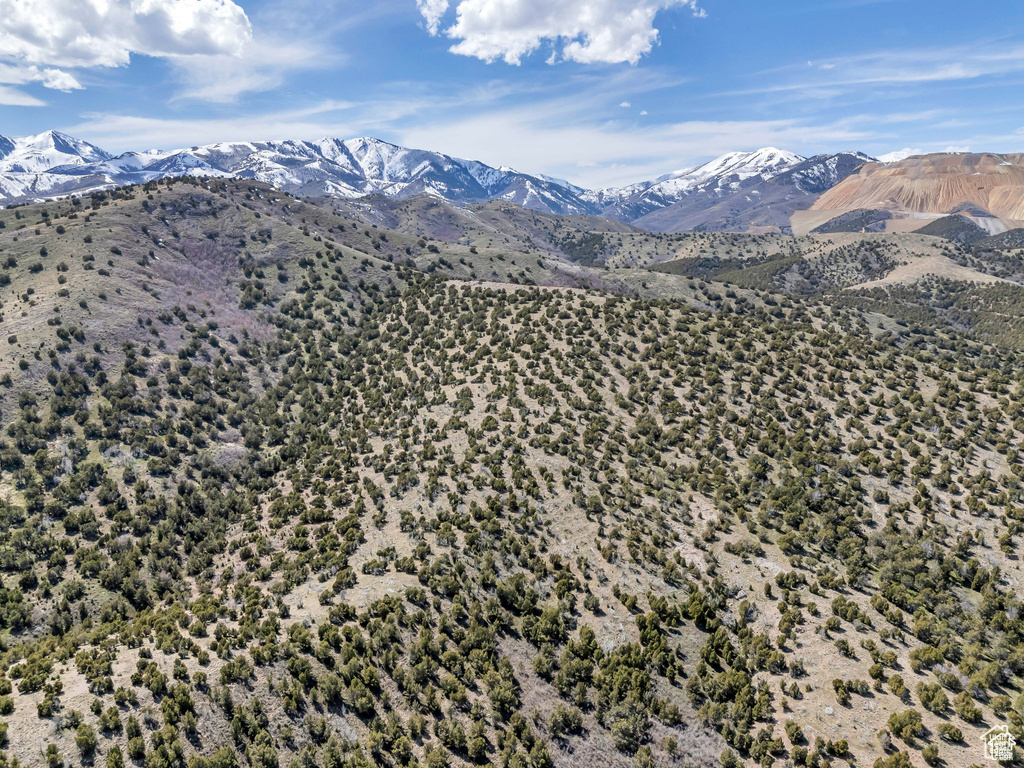 14544 S SHAGGY MTN Herriman, UT 84096