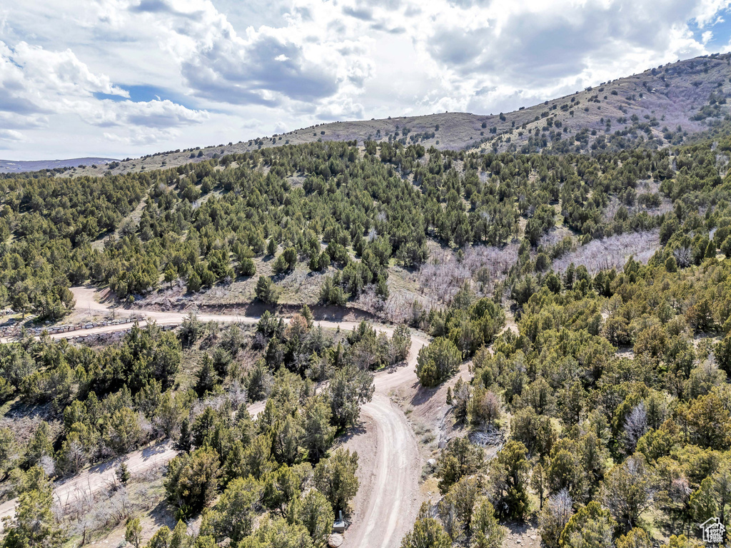 14544 S SHAGGY MTN Herriman, UT 84096