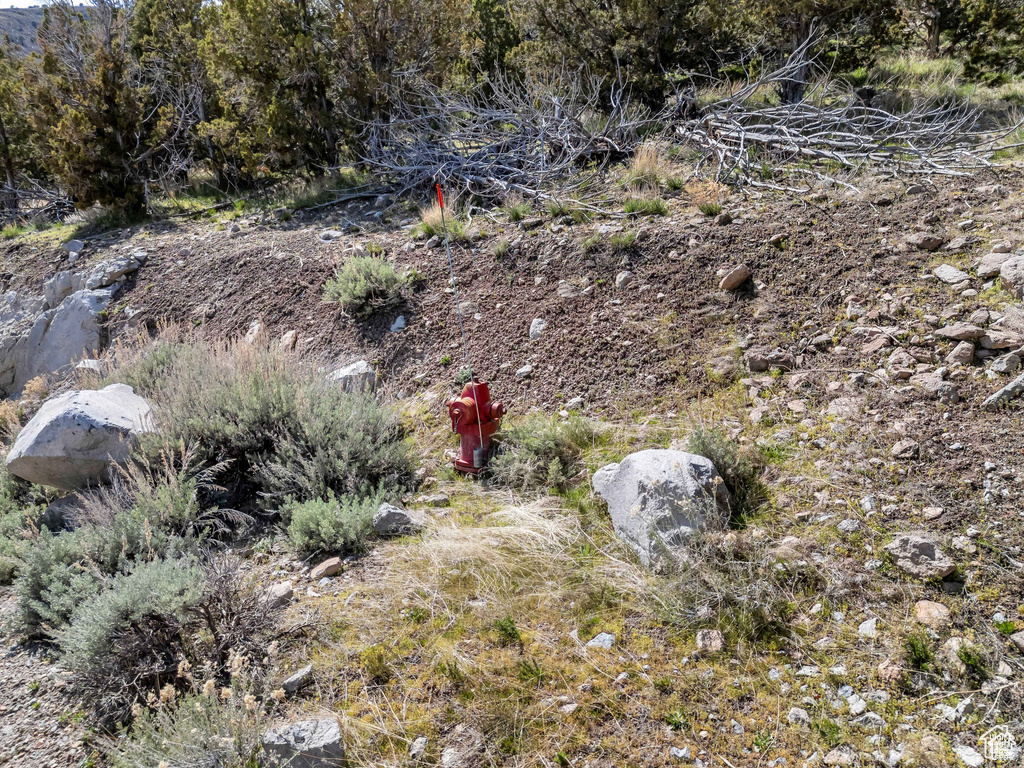 14544 S SHAGGY MTN Herriman, UT 84096