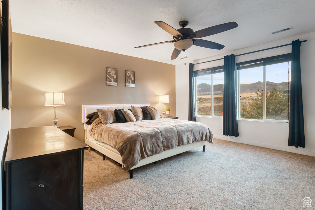 Photo 12 for MLS #2108869 at 8494 S Otter Creek Dr