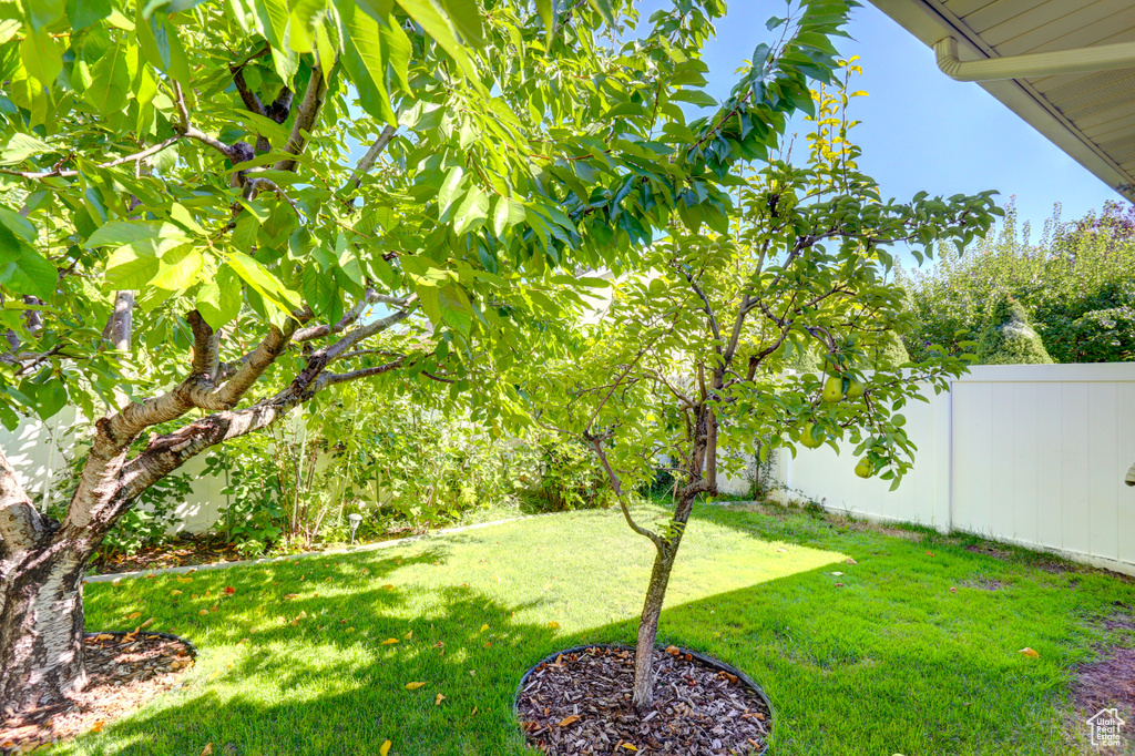 Photo 31 for MLS #2108874 at 824 S 1040 East