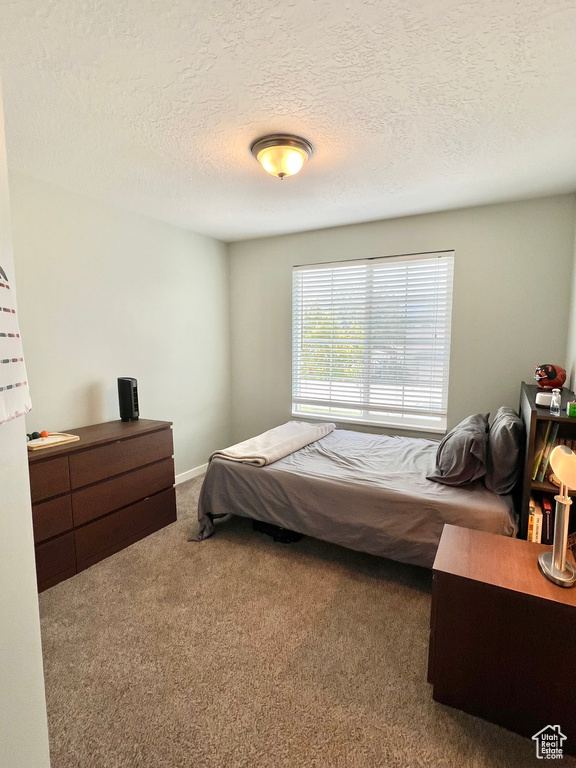 Photo 10 for MLS #2108880 at 875 W Alton Dr