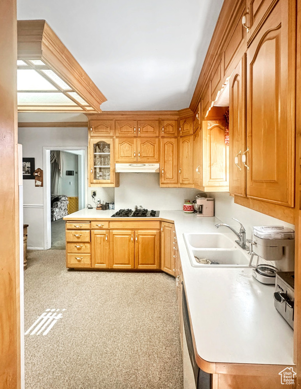 768 W 300 S Provo, UT 84601